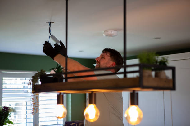 Best Residential Electrician Services  in Temperance, MI